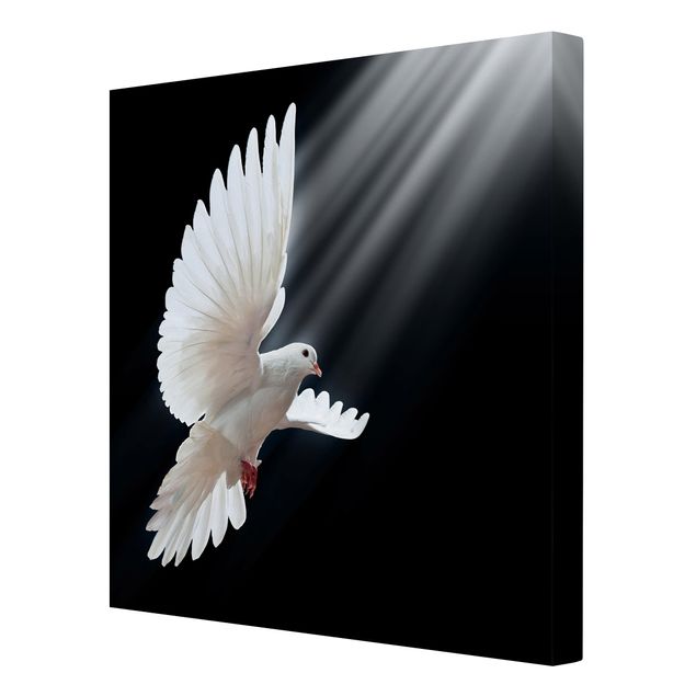 Wandbilder Schwarz-Weiß Holy Dove