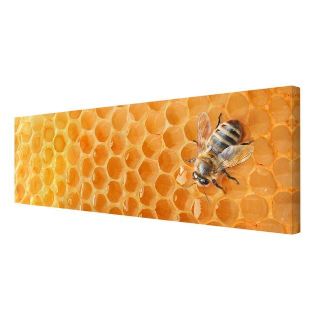 Leinwandbilder Honey Bee