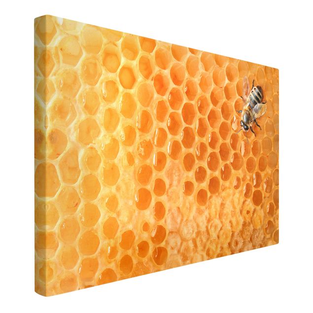 Wandbilder Modern Honey Bee