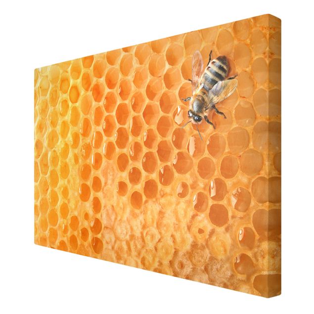 schöne Bilder Honey Bee