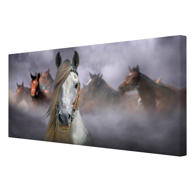 Wandbilder Tiere Horses in the Dust