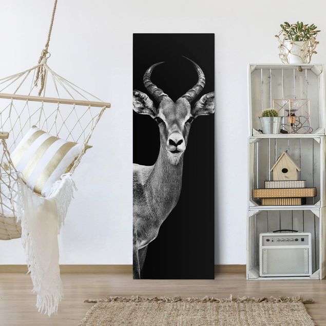 Leinwandbilder Tiere Impala Antilope schwarz-weiß