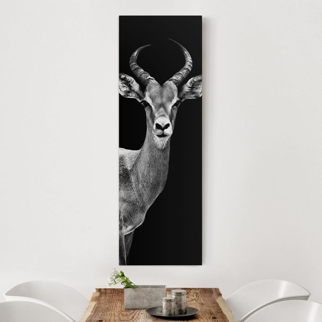Wanddeko Küche Impala Antilope schwarz-weiß