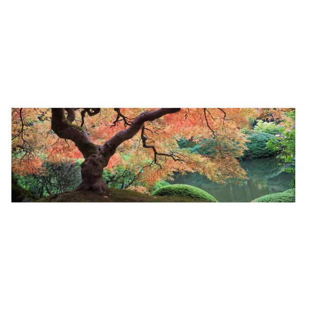 Leinwandbild Baum Japanischer Garten