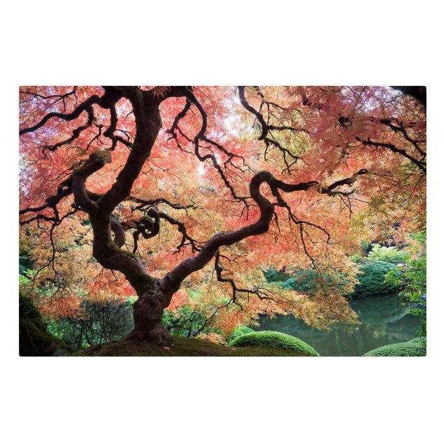 Leinwandbild Baum Japanischer Garten