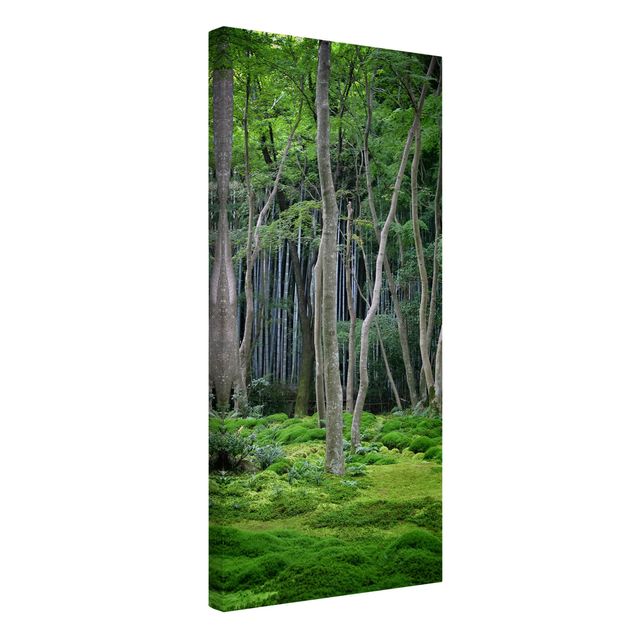 Leinwandbilder Naturmotive Japanischer Wald