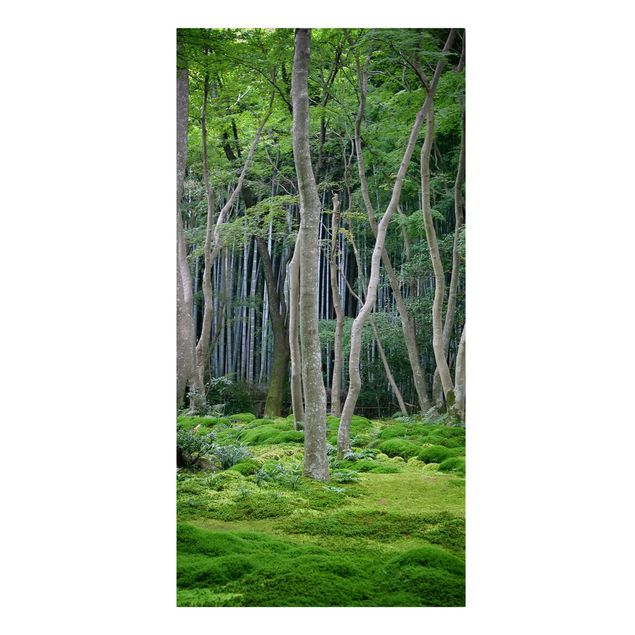 Leinwandbilder Wald Japanischer Wald