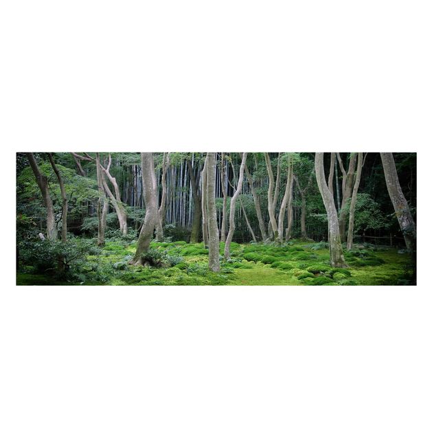 Leinwandbild Wald Japanischer Wald