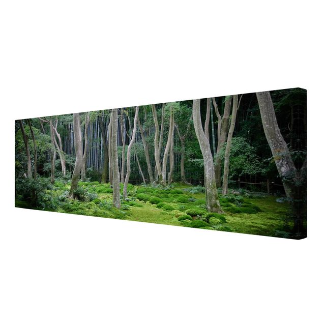 Wandbilder Natur Japanischer Wald