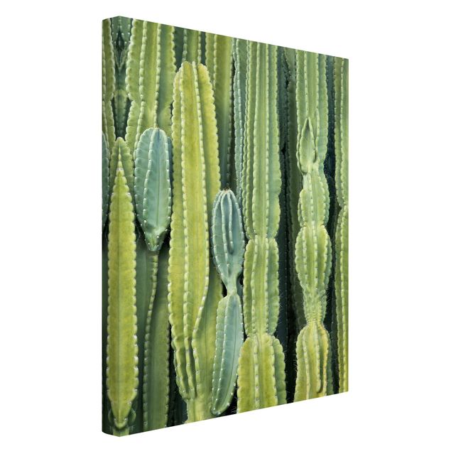 Wandbilder Blumen Kaktus Wand