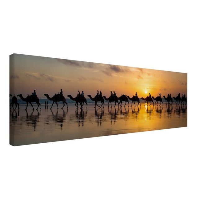 Wandbilder Modern Kamele im Sonnenuntergang