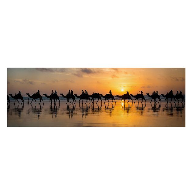 Wandbilder Tiere Kamele im Sonnenuntergang