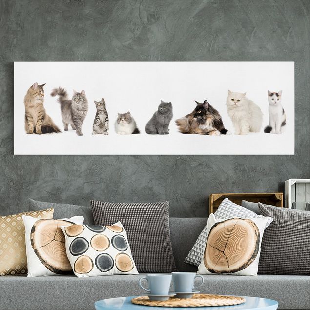 Katzenbilder auf Leinwand Katzenbande