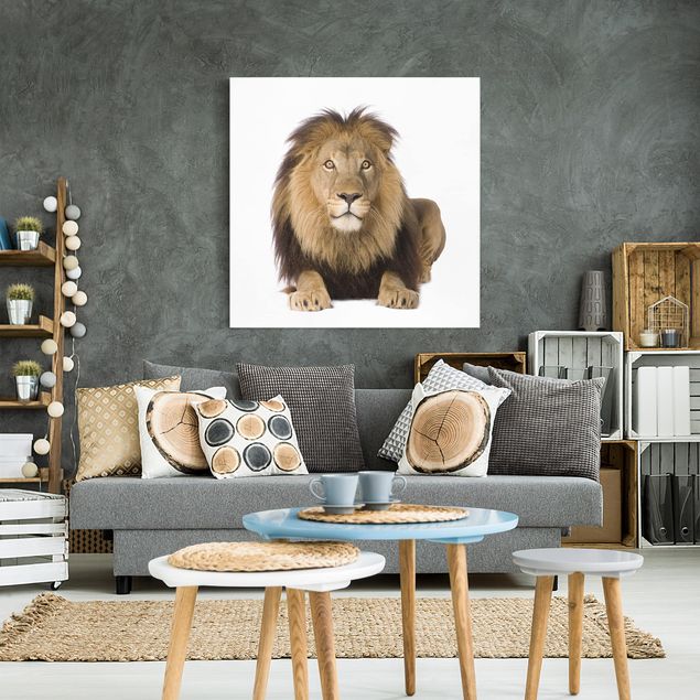 Wandbilder Löwen König Löwe II