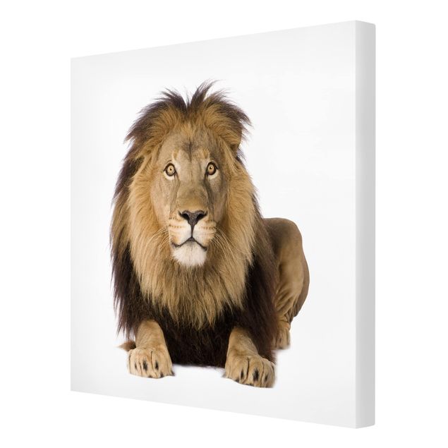 Wandbilder Tiere König Löwe II