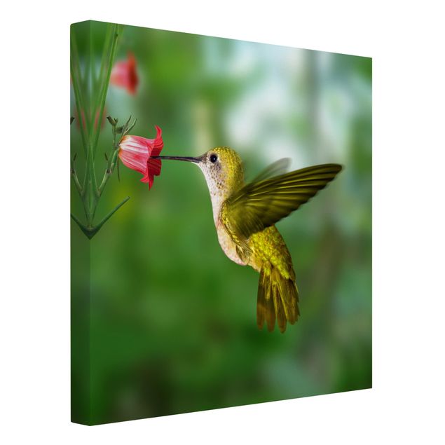 Wandbilder Floral Kolibri und Blüte