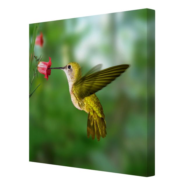 Wandbilder Grün Kolibri und Blüte