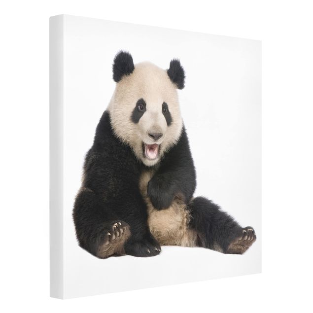 Wandbilder Modern Lachender Panda