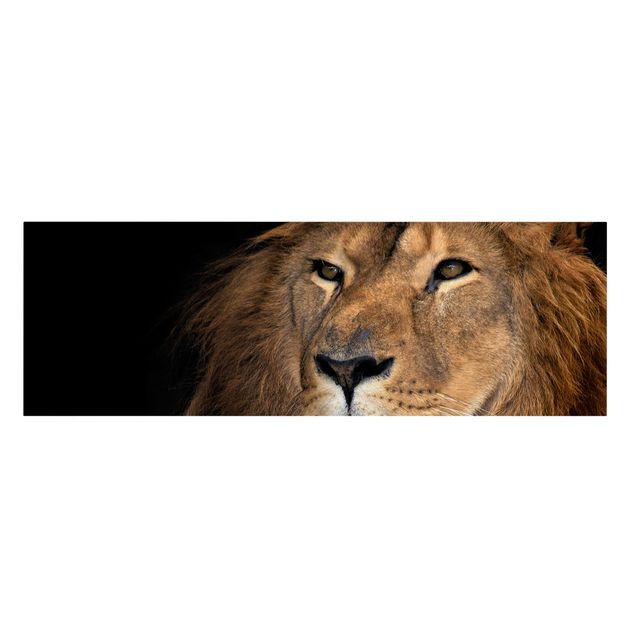 Leinwandbilder Tiere Löwenblick