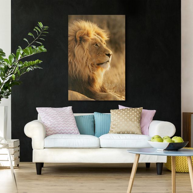Katzenbilder auf Leinwand Löwenkönig