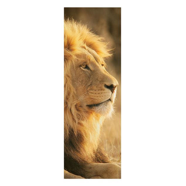 Leinwandbilder Tiere Löwenkönig