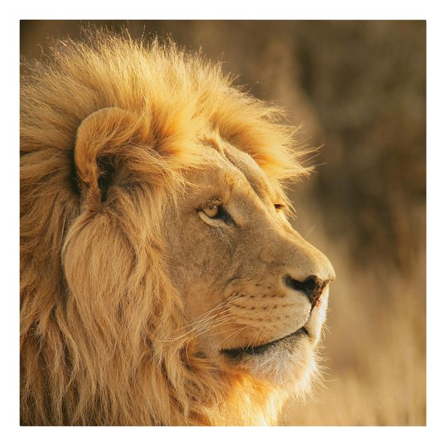 Tierbilder Leinwand Löwenkönig