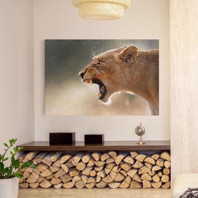 Leiwandbild Katze Löwin auf der Jagd