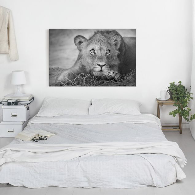 Wandbilder Löwen Lurking Lionbaby