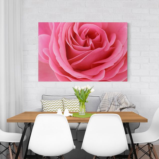 Leinwand Blumen Lustful Pink Rose