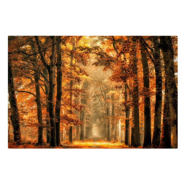 Wandbilder Blumen Märchenwald im Herbst
