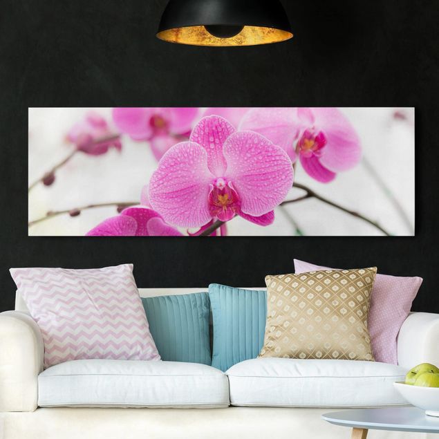 Wandbilder Orchideen Nahaufnahme Orchidee