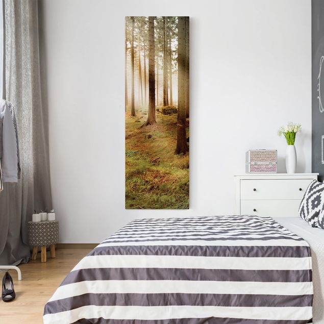 Wandbilder Landschaften Morning Forest