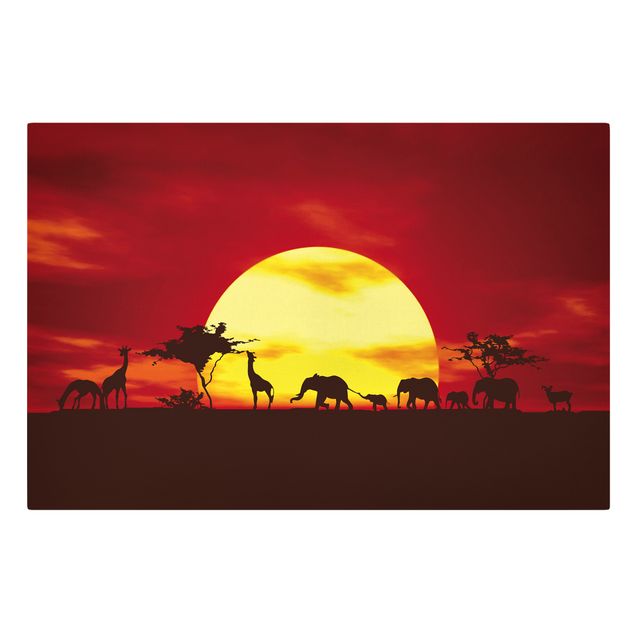 Wandbilder Giraffen Sunset Caravan