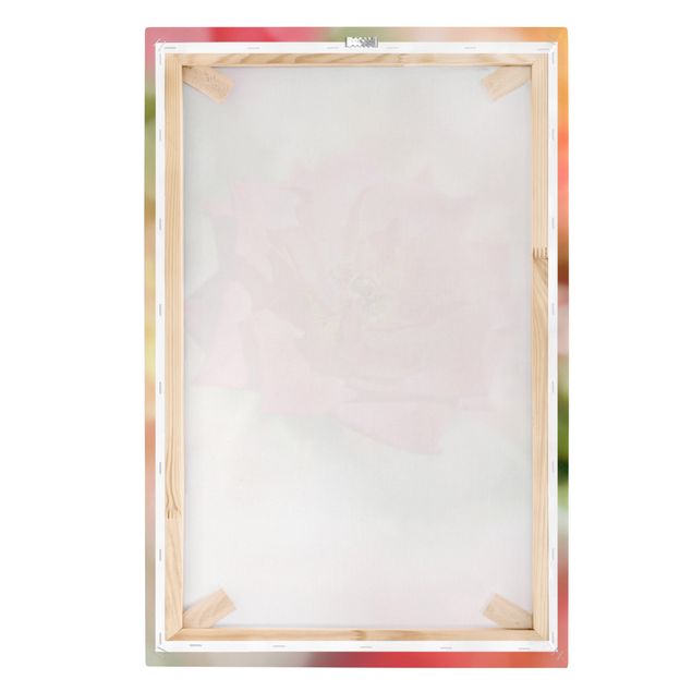 Wandbilder Blumen Shining Rose