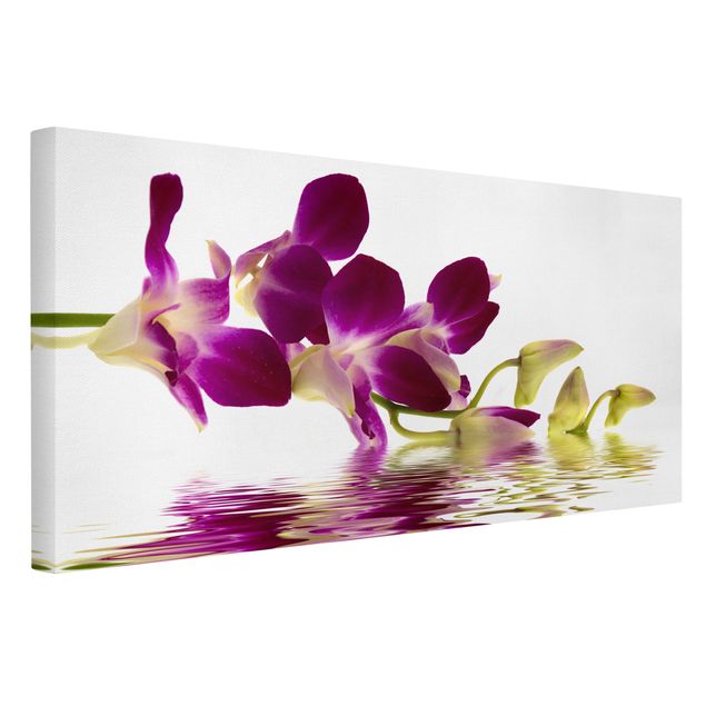 Blumenbilder auf Leinwand Pink Orchid Waters