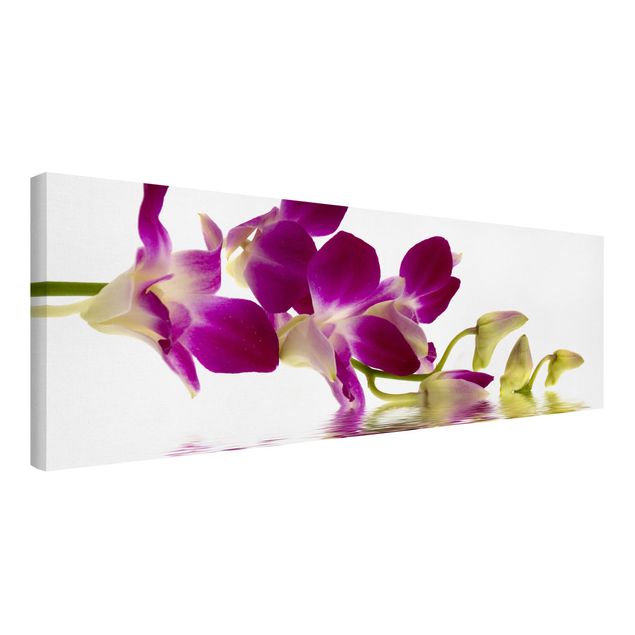 Leinwandbilder Blumen Pink Orchid Waters