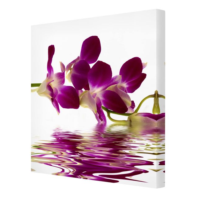 Wandbilder Blumen Pink Orchid Waters