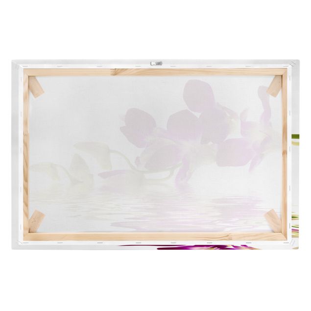 Wandbilder Pink Orchid Waters