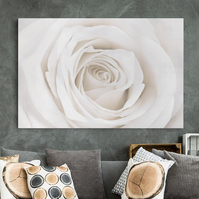 Wanddeko Küche Pretty White Rose