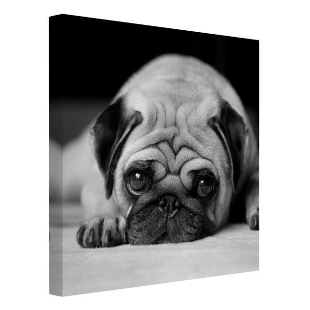 schwarz-weiß Bilder auf Leinwand Pug Loves You II