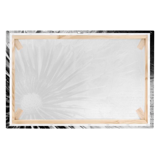 Wandbilder Schwarz-Weiß Pusteblume Schwarz & Weiß