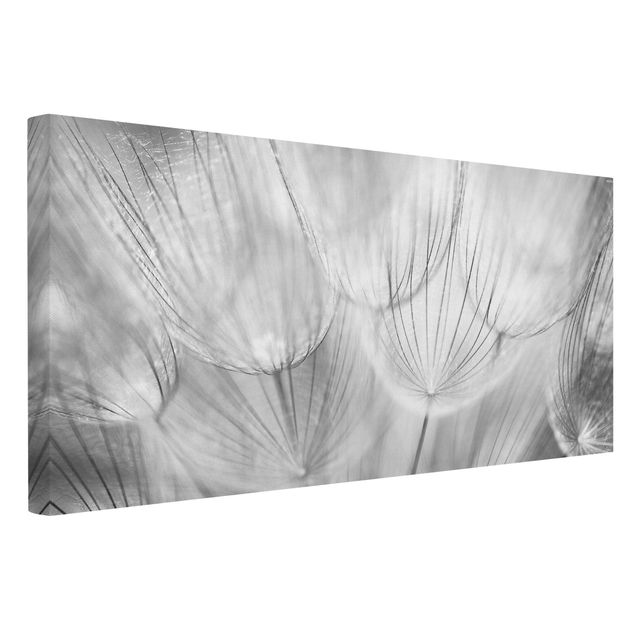 Leinwand schwarz-weiß Pusteblumen Makroaufnahme in schwarz weiss