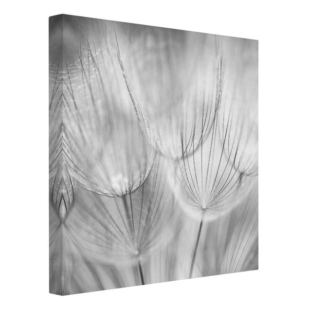 Leinwandbilder schwarz-weiß Pusteblumen Makroaufnahme in schwarz weiß