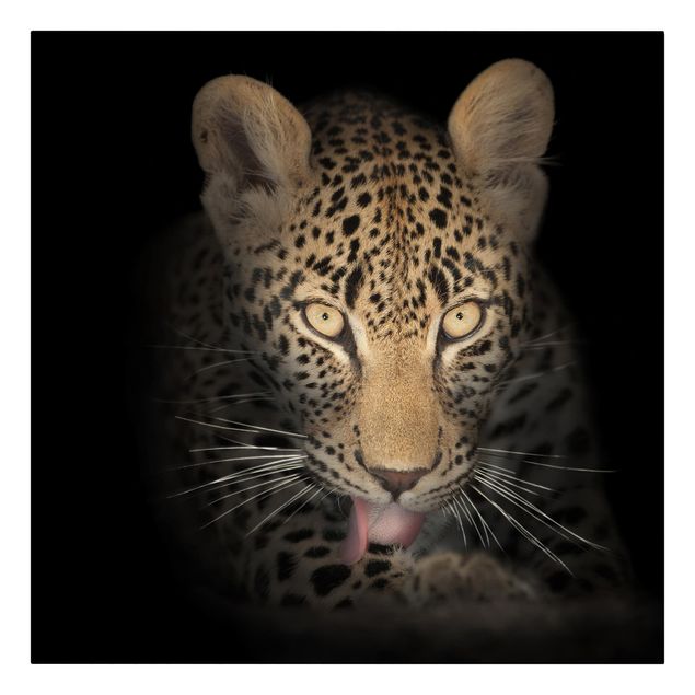 Wandbilder Portrait Resting Leopard