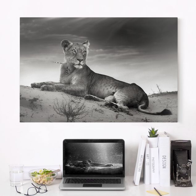 Küche Dekoration Resting Lion
