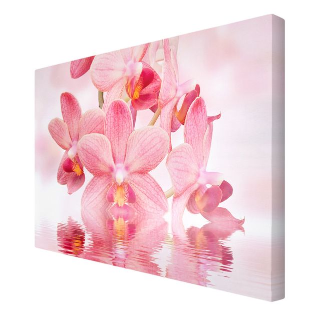 Wandbilder Blumen Rosa Orchideen auf Wasser
