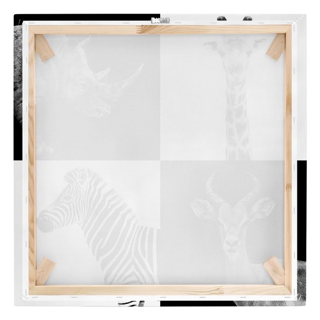 Wandbilder Schwarz-Weiß Safari Quartett