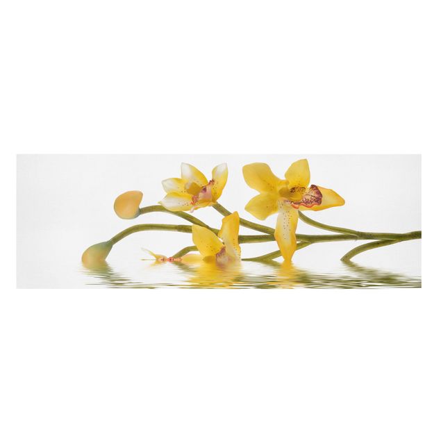 Wandbilder Floral Saffron Orchid Waters