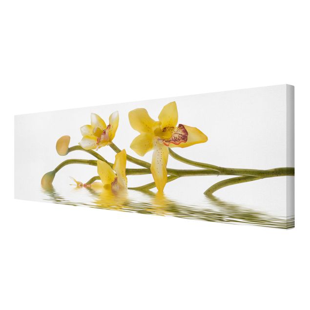 Wandbilder Blumen Saffron Orchid Waters