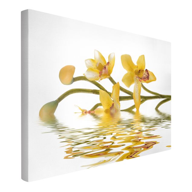 Blumenbilder auf Leinwand Saffron Orchid Waters